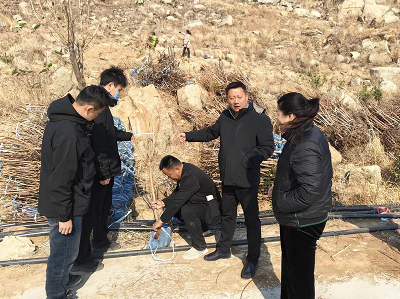 1710905955115796.jpg 11111111111.jpg